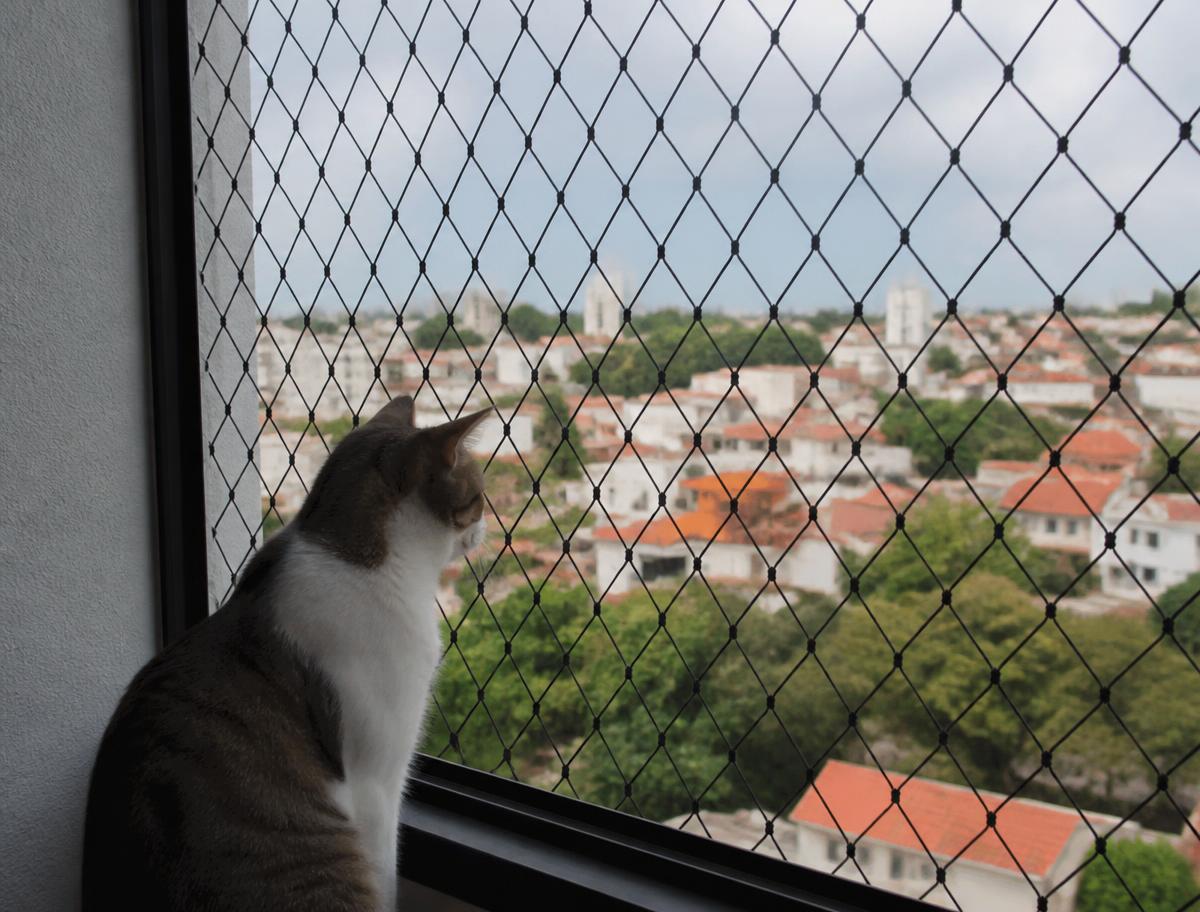 Gato sentado no parapeito de janela de apartamento protegida por rede de proteção